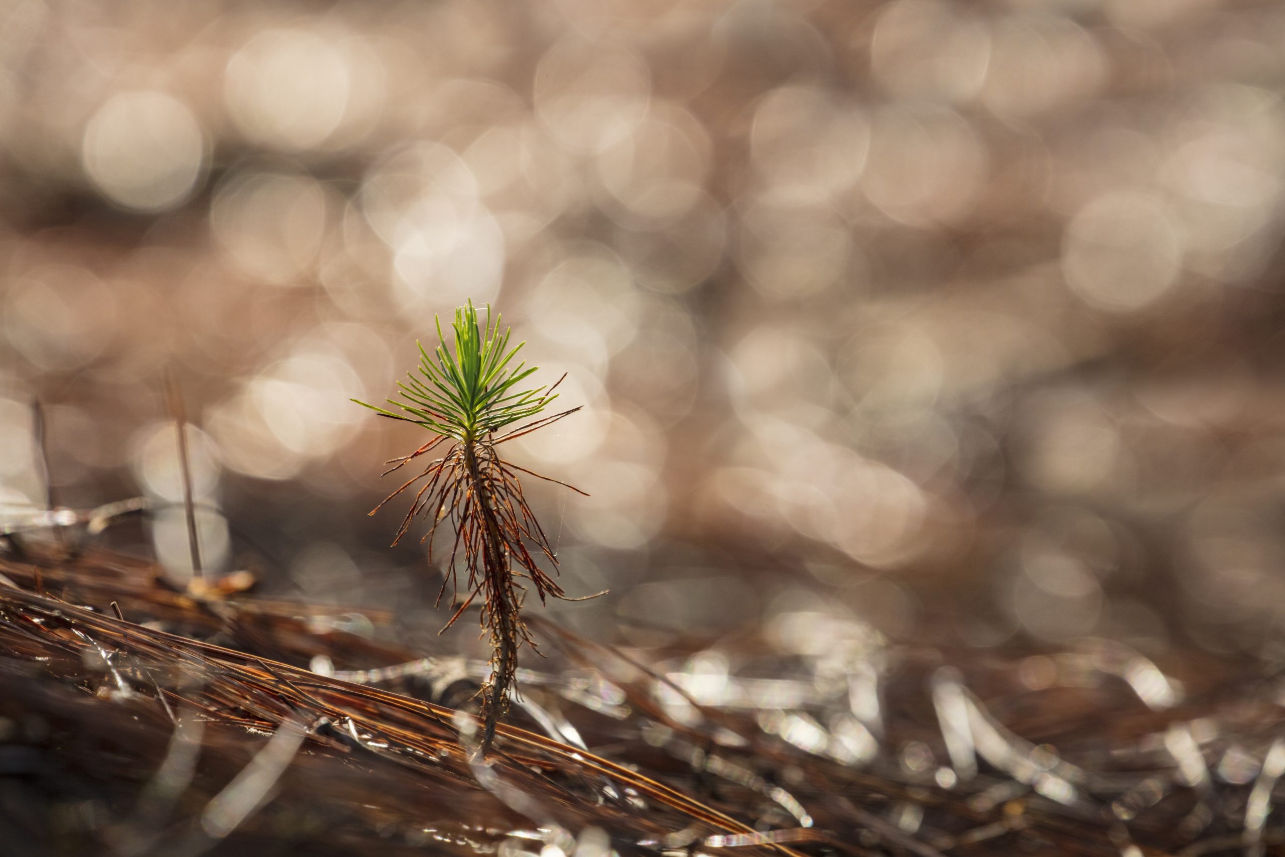 5 predictions for the insurance industry in 2025 | Insurance Blog