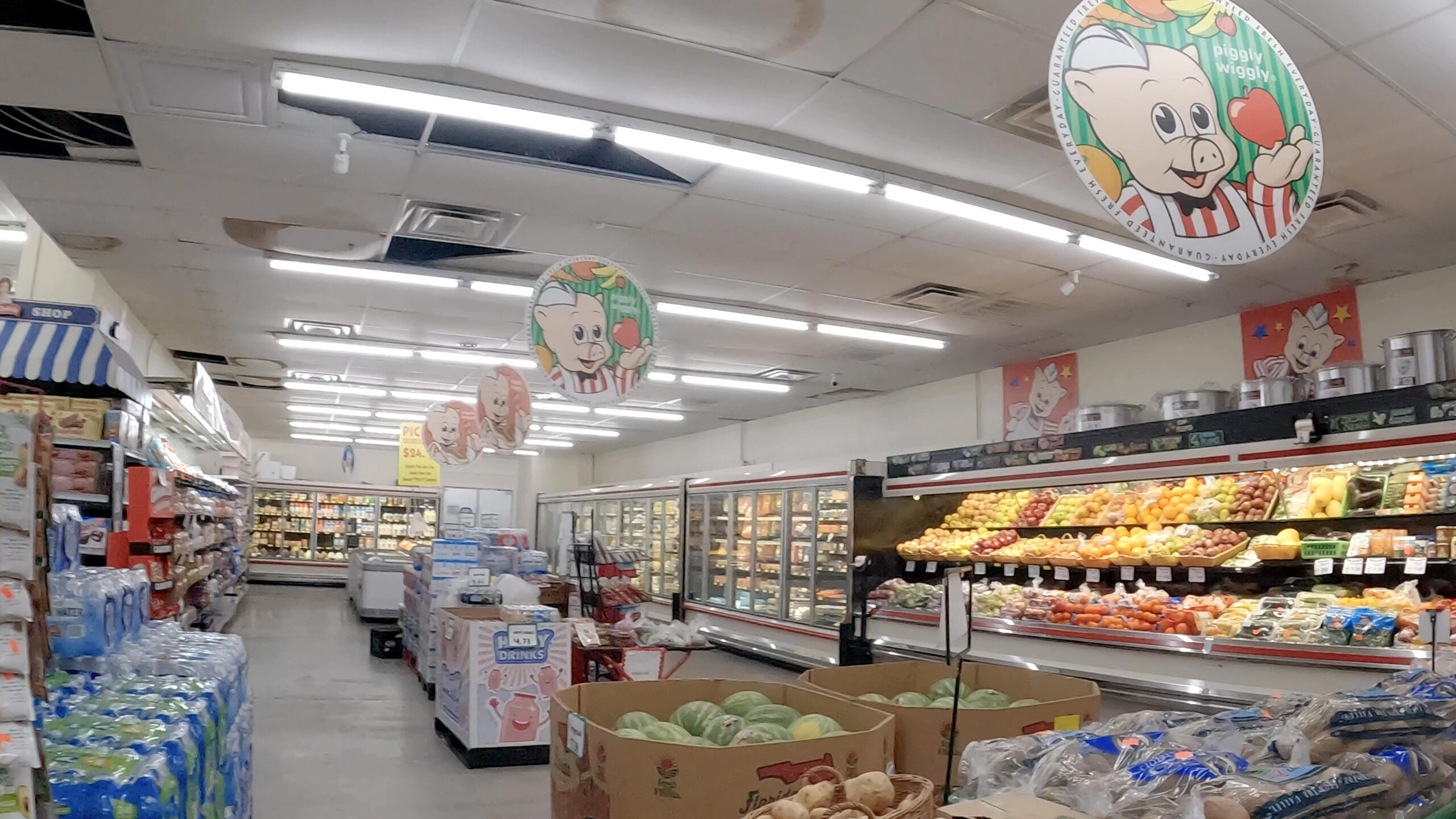 Carolina Woman Charged With Fraud After Claiming Slips and Falls at 8 Groceries