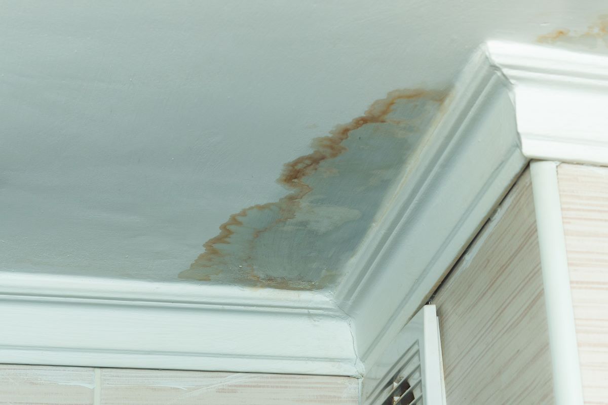 Does Home Insurance Cover Water Damage?