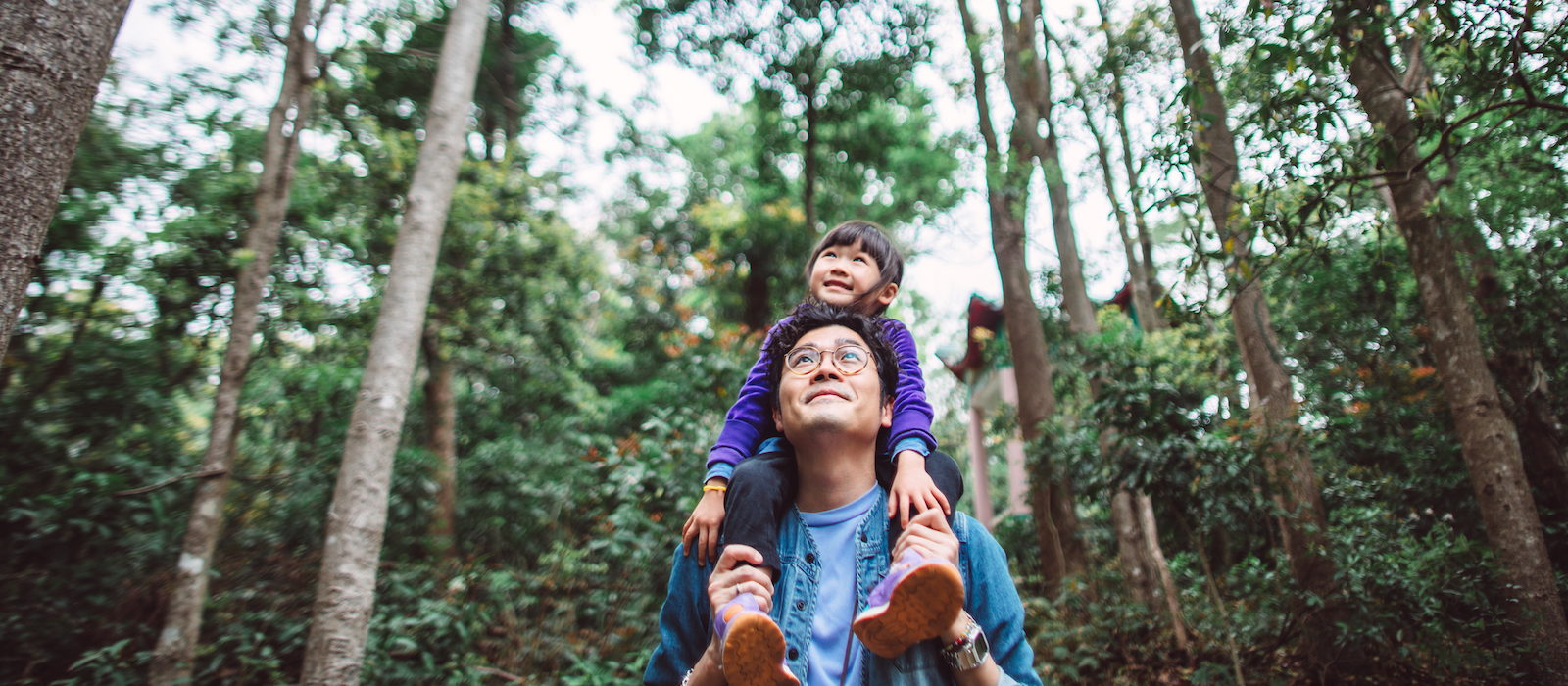 Insurance News: The next horizon of expansion | Insurance Blog