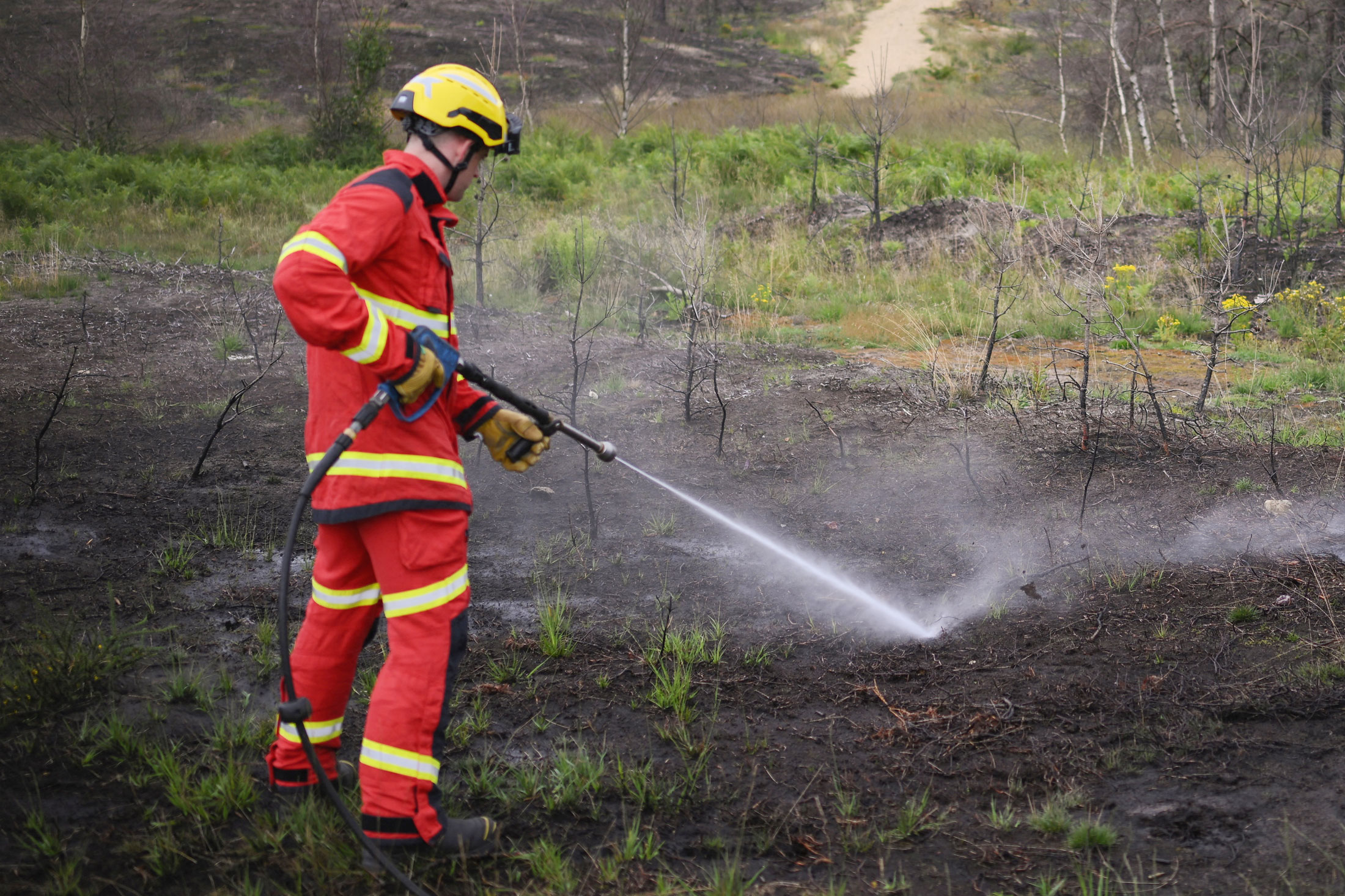 UK’s Extremely Dry Start to Year Raises Crop and Wildfire Risks