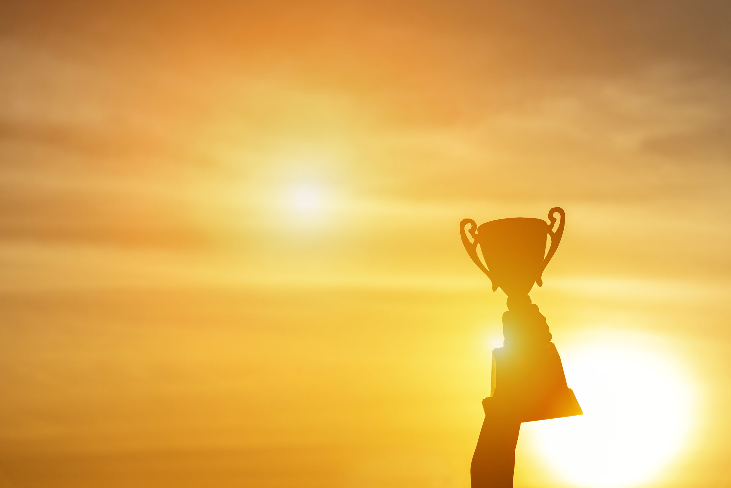 Be Recognized as an Independent Agency Leader