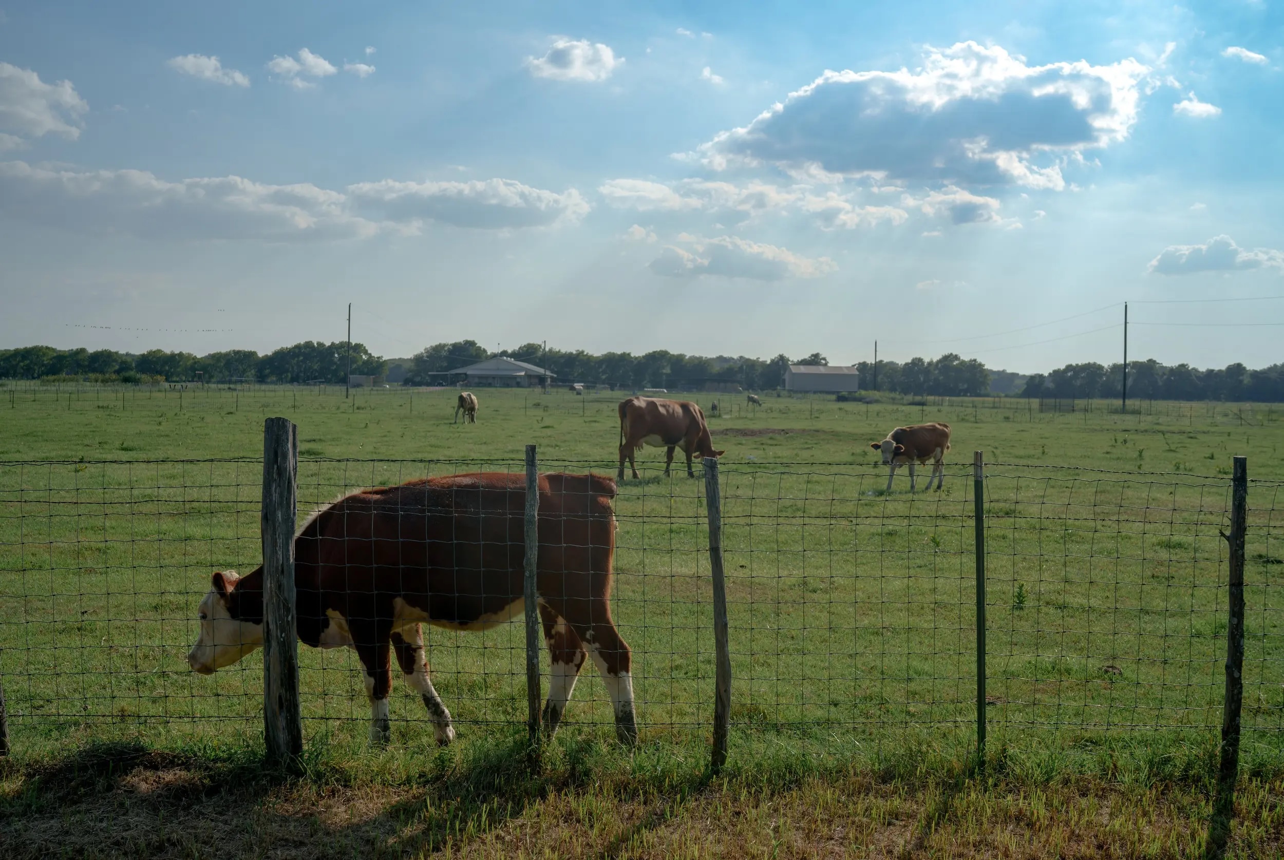 Texas Lawmakers Spike Bills to Study, Restrict PFAS